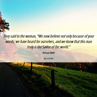 Picture 06 - John 4:42 BSB - They said to the woman, “We now believe not - Bible Verse Picture