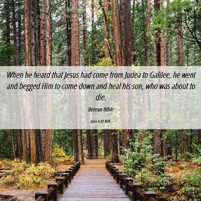 Picture 06 - John 4:47 BSB - When he heard that Jesus had come from Judea to - Bible Verse Picture