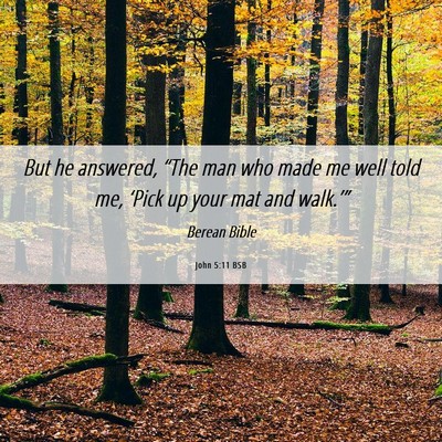 Picture 06 - John 5:11 BSB - But he answered, “The man who made me well told - Bible Verse Picture