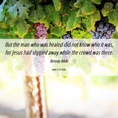 Picture 06 - John 5:13 BSB - But the man who was healed did not know who it - Bible Verse Picture