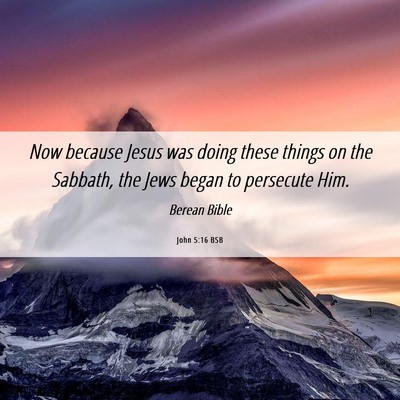 Picture 06 - John 5:16 BSB - Now because Jesus was doing these things on the - Bible Verse Picture