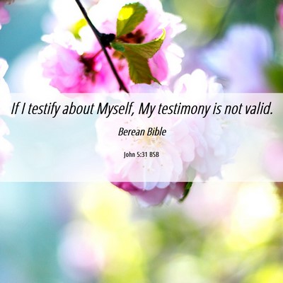 Picture 06 - John 5:31 BSB - If I testify about Myself, My testimony is not - Bible Verse Picture