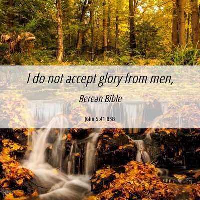 Picture 06 - John 5:41 BSB - I do not accept glory from - Bible Verse Picture