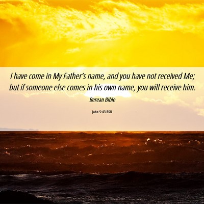 Picture 06 - John 5:43 BSB - I have come in My Father’s name, and you have - Bible Verse Picture