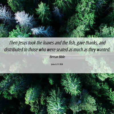 Picture 06 - John 6:11 BSB - Then Jesus took the loaves and the fish, gave - Bible Verse Picture