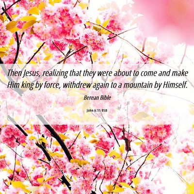 Picture 06 - John 6:15 BSB - Then Jesus, realizing that they were about to - Bible Verse Picture