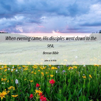 Picture 06 - John 6:16 BSB - When evening came, His disciples went down to the - Bible Verse Picture