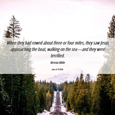 Picture 06 - John 6:19 BSB - When they had rowed about three or four miles, - Bible Verse Picture
