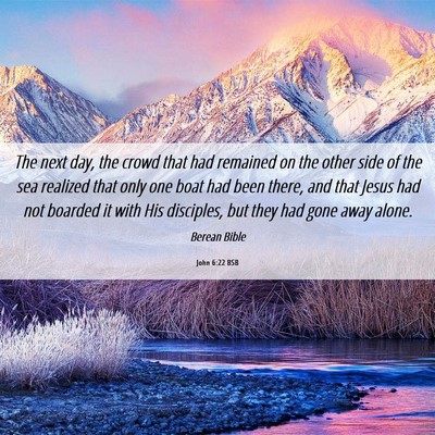 Picture 06 - John 6:22 BSB - The next day, the crowd that had remained on the - Bible Verse Picture
