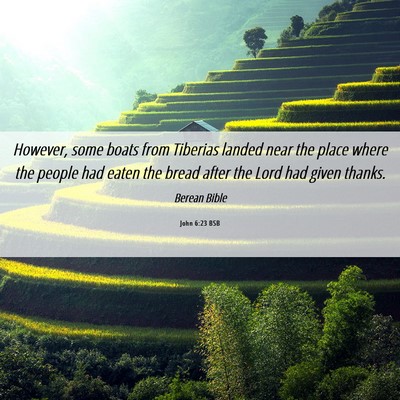 Picture 06 - John 6:23 BSB - However, some boats from Tiberias landed near the - Bible Verse Picture