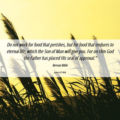 Picture 06 - John 6:27 BSB - Do not work for food that perishes, but for food - Bible Verse Picture