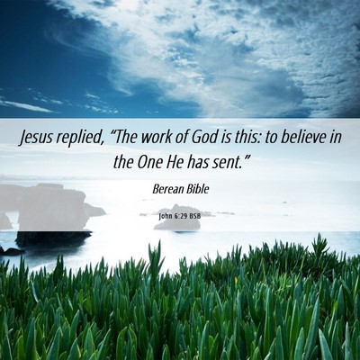 Picture 06 - John 6:29 BSB - Jesus replied, “The work of God is this: to - Bible Verse Picture