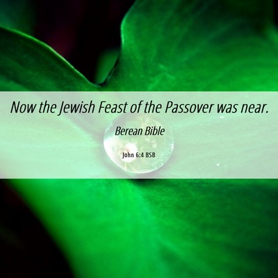 Picture 06 - John 6:4 BSB - Now the Jewish Feast of the Passover was - Bible Verse Picture