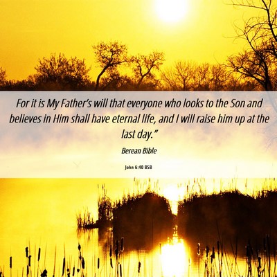 Picture 06 - John 6:40 BSB - For it is My Father’s will that everyone who - Bible Verse Picture
