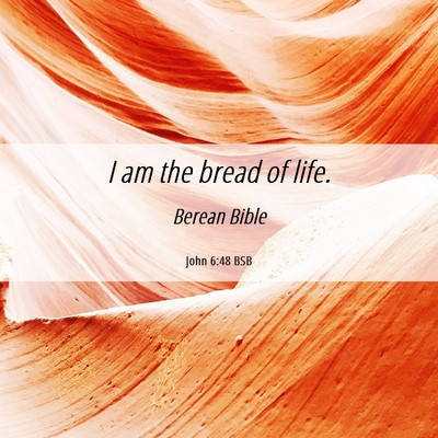 Picture 06 - John 6:48 BSB - I am the bread of - Bible Verse Picture