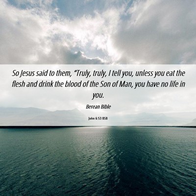 Picture 06 - John 6:53 BSB - So Jesus said to them, “Truly, truly, I tell - Bible Verse Picture