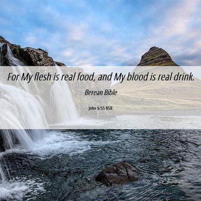 Picture 06 - John 6:55 BSB - For My flesh is real food, and My blood is real - Bible Verse Picture