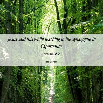 Picture 06 - John 6:59 BSB - Jesus said this while teaching in the synagogue - Bible Verse Picture