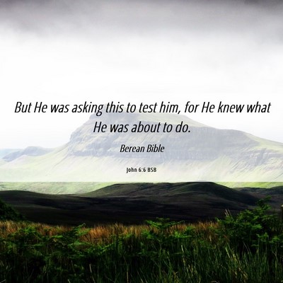 Picture 06 - John 6:6 BSB - But He was asking this to test him, for He knew - Bible Verse Picture