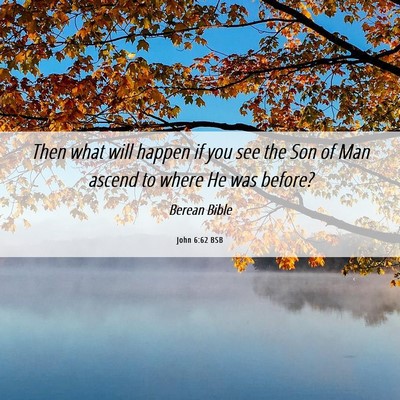 Picture 06 - John 6:62 BSB - Then what will happen if you see the Son of Man - Bible Verse Picture