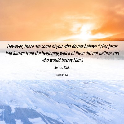 Picture 06 - John 6:64 BSB - However, there are some of you who do not - Bible Verse Picture