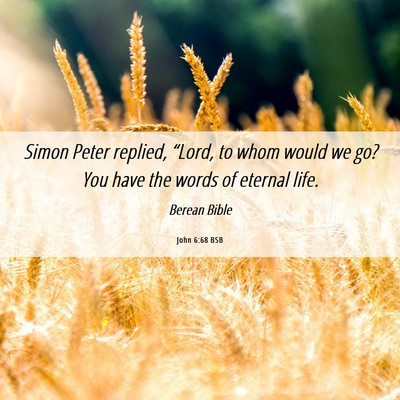 Picture 06 - John 6:68 BSB - Simon Peter replied, “Lord, to whom would we - Bible Verse Picture