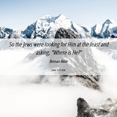 Picture 06 - John 7:11 BSB - So the Jews were looking for Him at the feast and - Bible Verse Picture