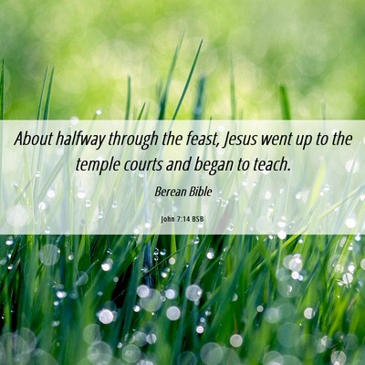 Picture 06 - John 7:14 BSB - About halfway through the feast, Jesus went up to - Bible Verse Picture