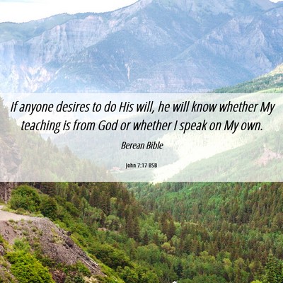 Picture 06 - John 7:17 BSB - If anyone desires to do His will, he will know - Bible Verse Picture