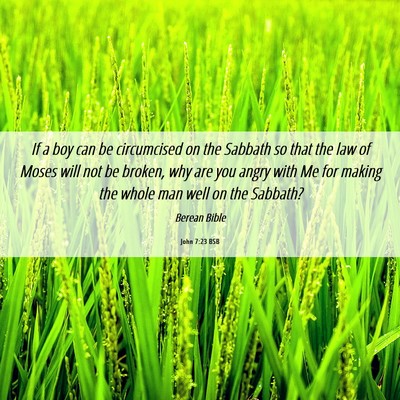 Picture 06 - John 7:23 BSB - If a boy can be circumcised on the Sabbath so - Bible Verse Picture