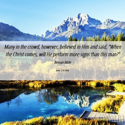 Picture 06 - John 7:31 BSB - Many in the crowd, however, believed in Him and - Bible Verse Picture