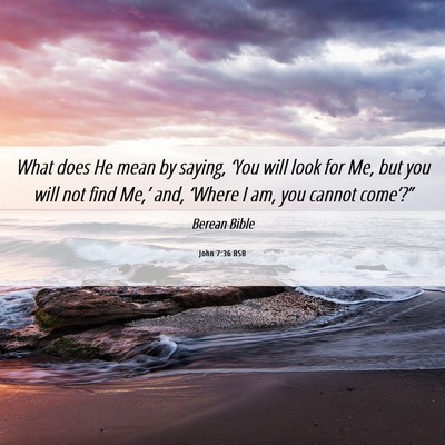 Picture 06 - John 7:36 BSB - What does He mean by saying, ‘You will look for - Bible Verse Picture