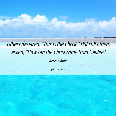 Picture 06 - John 7:41 BSB - Others declared, “This is the Christ.” But - Bible Verse Picture