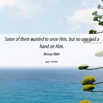 Picture 06 - John 7:44 BSB - Some of them wanted to seize Him, but no one laid - Bible Verse Picture