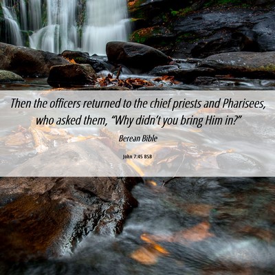 Picture 06 - John 7:45 BSB - Then the officers returned to the chief priests - Bible Verse Picture
