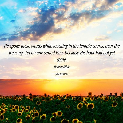 Picture 06 - John 8:20 BSB - He spoke these words while teaching in the temple - Bible Verse Picture