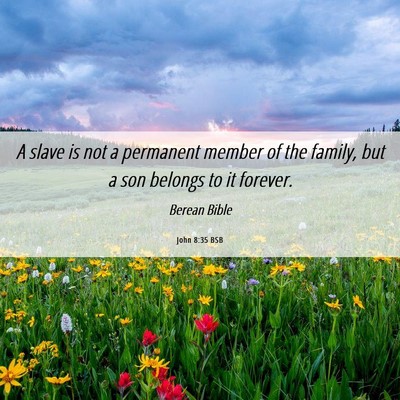 Picture 06 - John 8:35 BSB - A slave is not a permanent member of the family, - Bible Verse Picture