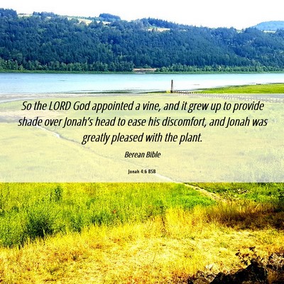 Picture 06 - Jonah 4:6 BSB - So the LORD God appointed a vine, and it grew up - Bible Verse Picture