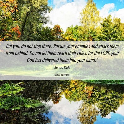 Picture 06 - Joshua 10:19 BSB - But you, do not stop there. Pursue your enemies - Bible Verse Picture