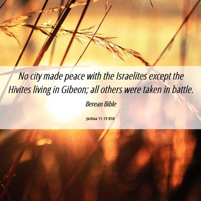 Picture 06 - Joshua 11:19 BSB - No city made peace with the Israelites except the - Bible Verse Picture