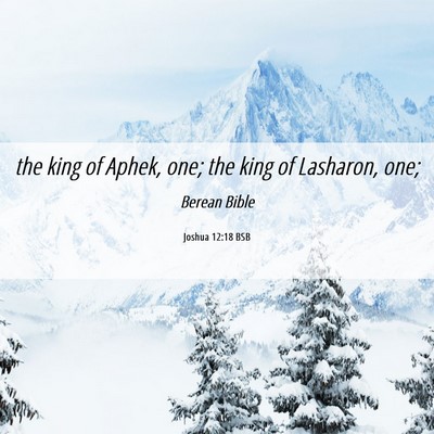 Picture 06 - Joshua 12:18 BSB - the king of Aphek, one; the king of Lasharon, - Bible Verse Picture