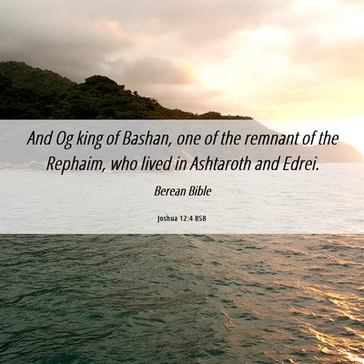 Picture 06 - Joshua 12:4 BSB - And Og king of Bashan, one of the remnant of the - Bible Verse Picture