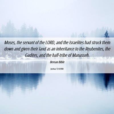 Picture 06 - Joshua 12:6 BSB - Moses, the servant of the LORD, and the - Bible Verse Picture