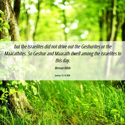 Picture 06 - Joshua 13:13 BSB - but the Israelites did not drive out the - Bible Verse Picture