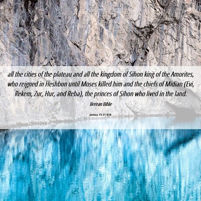 Picture 06 - Joshua 13:21 BSB - all the cities of the plateau and all the kingdom - Bible Verse Picture