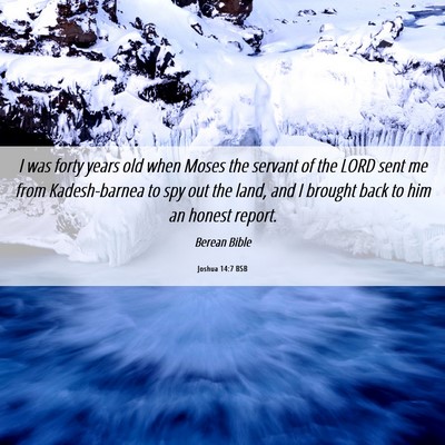 Picture 06 - Joshua 14:7 BSB - I was forty years old when Moses the servant of - Bible Verse Picture
