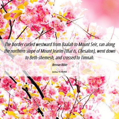 Picture 06 - Joshua 15:10 BSB - The border curled westward from Baalah to Mount - Bible Verse Picture