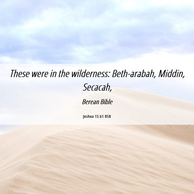 Picture 06 - Joshua 15:61 BSB - These were in the wilderness: Beth-arabah, - Bible Verse Picture