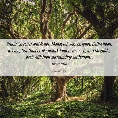 Picture 06 - Joshua 17:11 BSB - Within Issachar and Asher, Manasseh was assigned - Bible Verse Picture