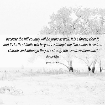 Picture 06 - Joshua 17:18 BSB - because the hill country will be yours as well. - Bible Verse Picture